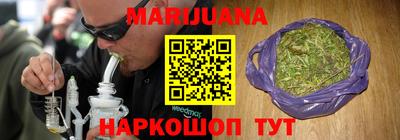 тгк Кингисепп