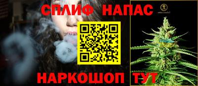 тгк Кингисепп
