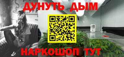 амф Кимры