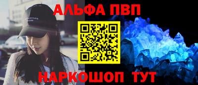 тгк Кингисепп