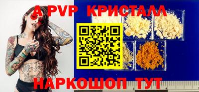 тгк Кингисепп