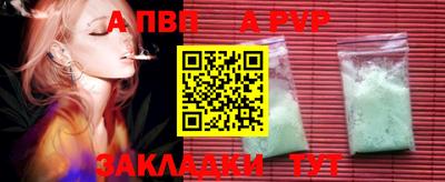 тгк Кингисепп