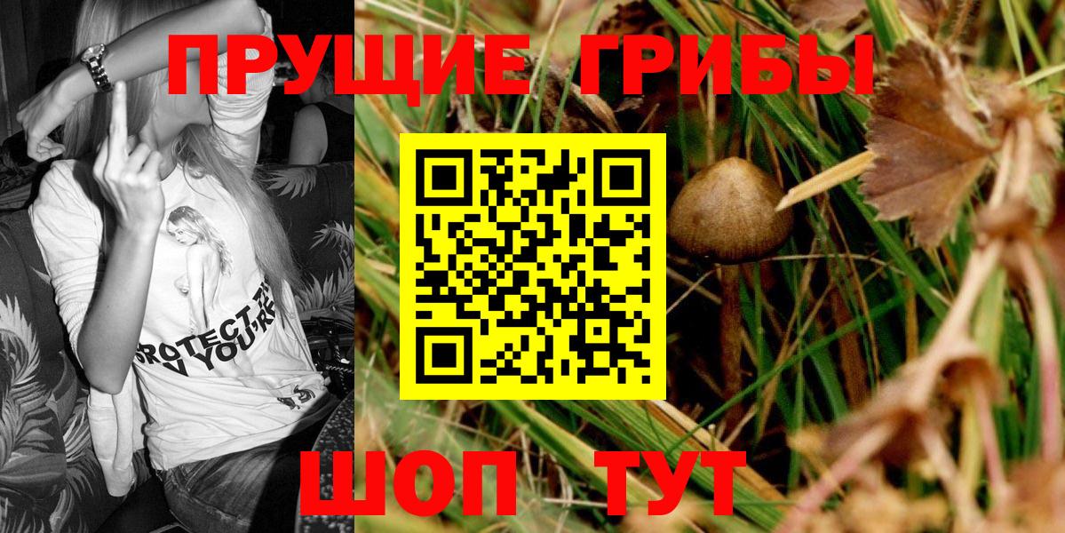 Красноярск  Псилоцибиновые грибы Magic Shrooms  Псилоцибиновые грибы Psilocybine cubensis  Вход с VPN 